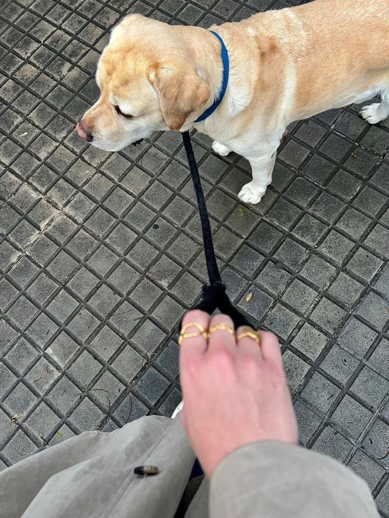 Anillos de acero inoxidable. 