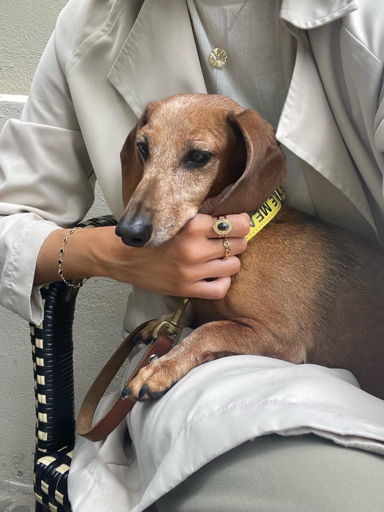 Anillos Marquesa y Escala, y pulsera Les Formigues de acero inoxidable