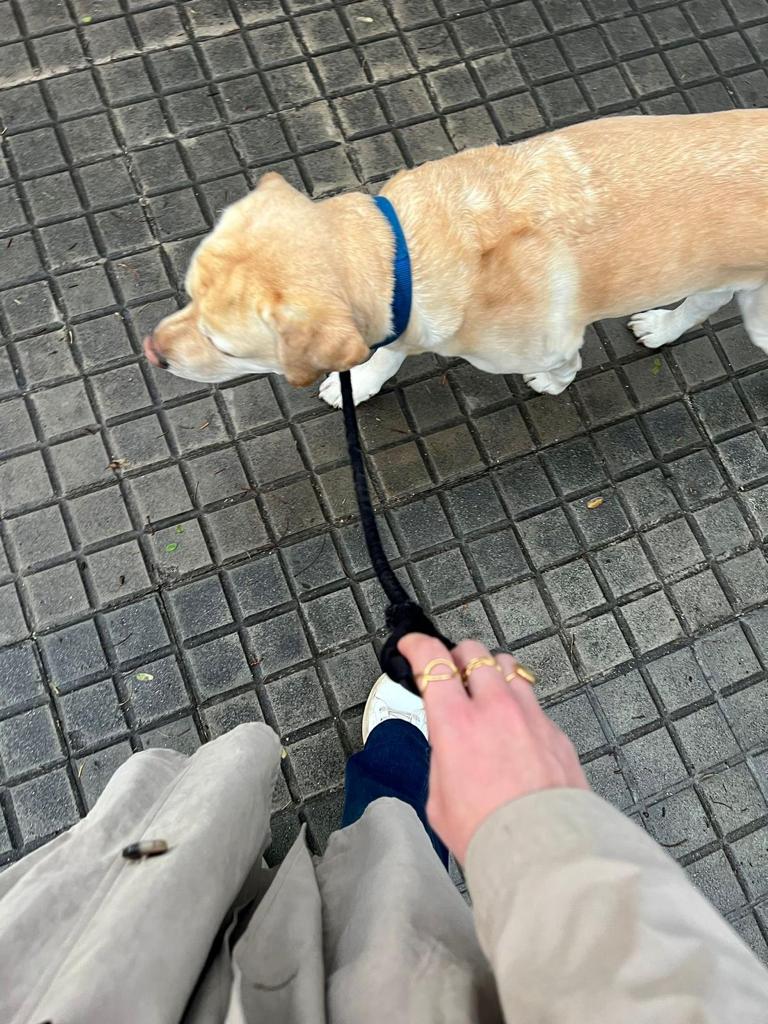 Anillos Llançà, Escala y Port Blau